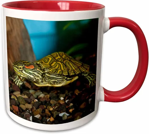Miniatura 8 de 3dRose NA02 DNO0772 - David Northcott - Tazas (mug_84061_9)