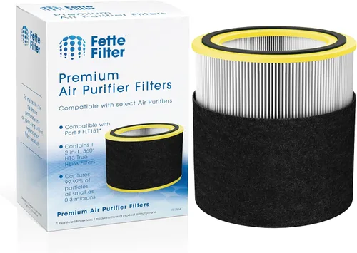 Fette Filter - FLT151 Filtro de repuesto True Hepa H13 V compatible con GermGuardian para modelos AC3000, AC151, AP3151, AC3000W, AC3000, AC151W