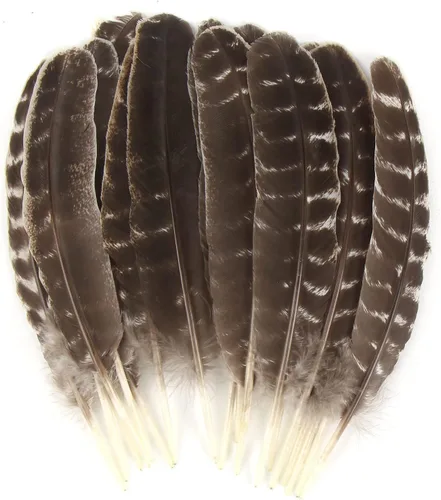 Miniatura 8 de CCINEE 15 plumas de pavo real natural, plumas de cola de pavo real de 10 a 12 pulgadas para manualidades, disfraz de Halloween, dama de honor