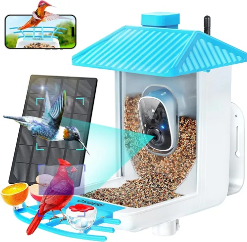 Osoeri Comedero para pájaros con cámara, alimentador solar inteligente para pájaros con identificación de IA, video de captura automática HD de