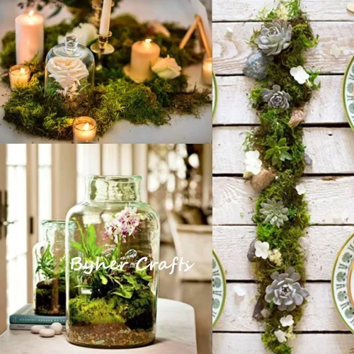 Miniatura 4 de Byher 92926 - Musgo de bosque, verde fresco, 8 onzas (200 pulgadas cúbicas)