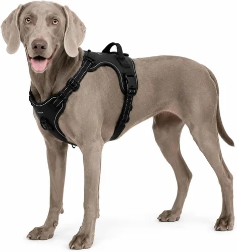 Miniatura 6 de Arnés negro sin tirones para perro con 2 clips para correa, chaleco acolchado suave para perros pequeños, chaleco reflectante ajustable fácil