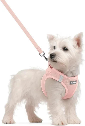 Miniatura 130 de rabbitgoo Juego de arnés para perro de tamaño pequeño y correa, chaleco ligero suave para cachorro, arnés de malla transpirable para mascotas