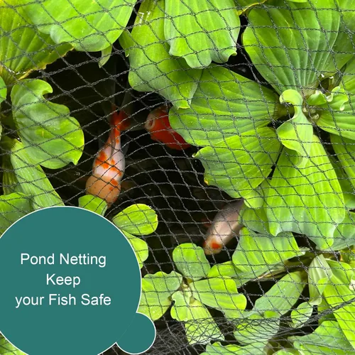 Miniatura 6 de Red para pájaros para jardín, malla resistente antipájaros de 13 x 40 pies con lazos y grapas de paisaje para verduras, árboles frutales y otras