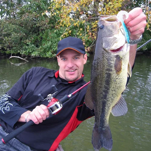 Miniatura 6 de Skylety 24 señuelos de pesca, señuelos de plástico suave para lubina, cabeza de jig, Swimbait, kit de aparejos de plástico suave realista para agua