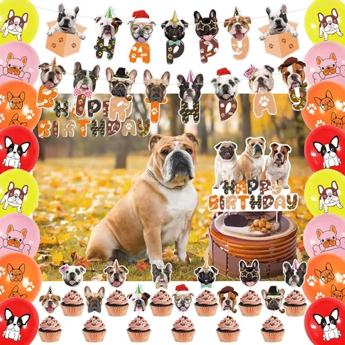 Decoraciones de fiesta de bulldog francés, recuerdos de fiesta, incluye fondo de 3.2 x 4.9 pies, lindo cartel temático de bulldog inglés francés,