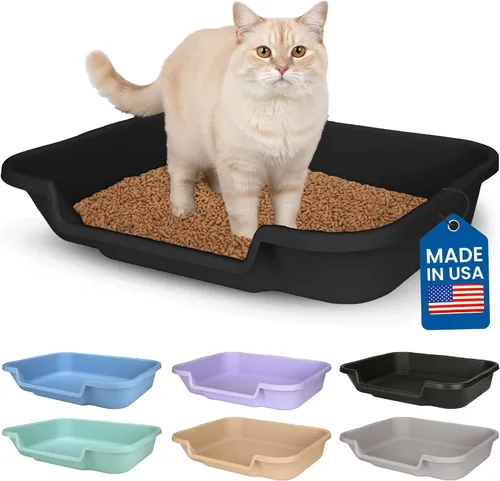 Miniatura 58 de KittyGoHere - Caja de arena para gatos mayores, sartén pequeña con cuchara jumbo de mango largo, caja de arena para gatos de entrada baja, ligera