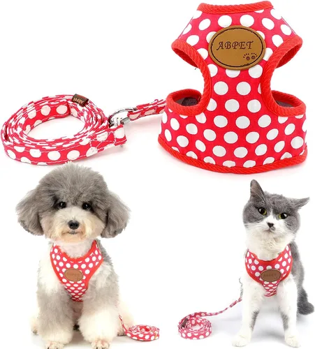 Miniatura 12 de SMALLLEE_Lucky_Store - Nuevo chaleco de nailon de malla suave, Arnés para mascotas, gatos, perros chicos o medianos, Juego de correa para perro