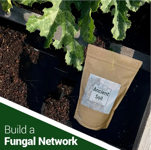 Miniatura 7 de Elm Dirt Suelo antiguo prémium para todas las plantas, orgánico para uso en exteriores e interiores, suelo de jardín para el crecimiento