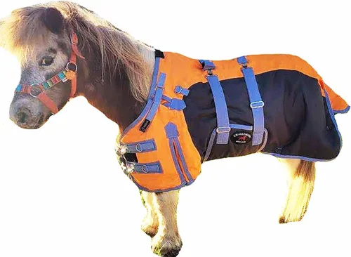 Miniatura 12 de Manta de invierno de 36" 1200D para potro, poni, caballo pequeño, asno recién destetado Teal 51945