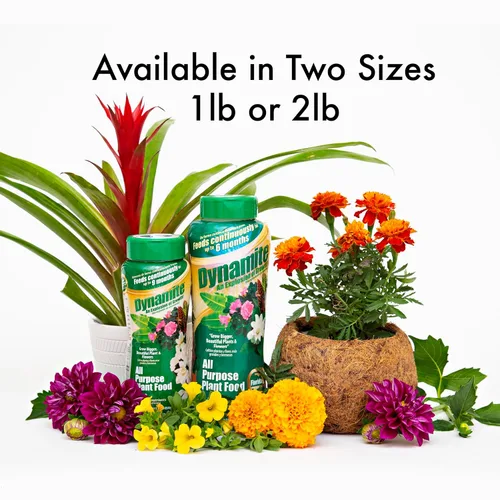 Miniatura 3 de Dynamite - Alimento vegetal multiusos de 9 meses de 2 libras