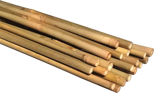 Postes de bambú natural, estacas de jardín ecológicas de soporte para plantas, 16 pulgadas de largo (20 unidades)