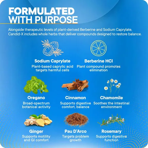 Miniatura 4 de BioMatrix Candida Cleanse, suplemento de salud intestinal con berberina, orégano, caprilato de sodio, manzanilla, jengibre, PAU D'arco Candid-X
