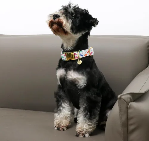 Miniatura 4 de Collar de perro de algodón de dinosaurio con hebilla de metal, collar de regalo para niñas o niños pequeños, medianos y grandes, lindos collares