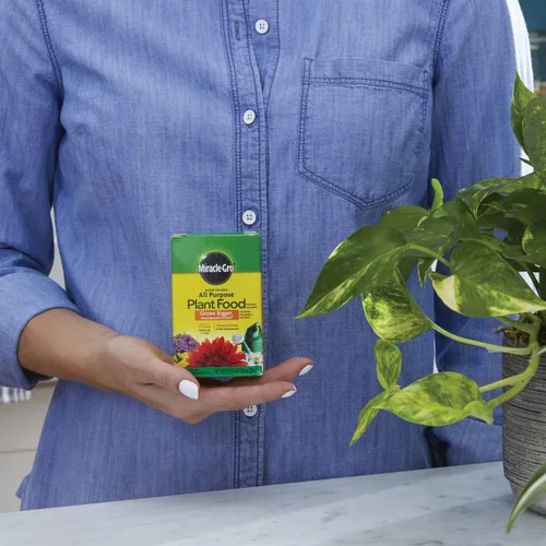 Miniatura 3 de Miracle-Gro - Alimento vegetal soluble en agua, 8 oz.