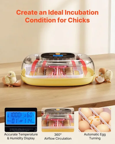 Miniatura 2 de VEVOR Incubadora de 24 huevos, volteador automático de huevos con vela LED, control de temperatura y humedad, ventana transparente de 360°