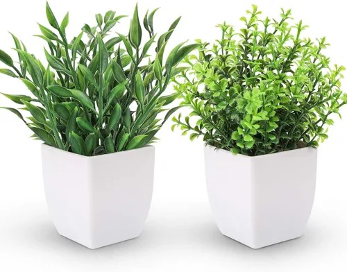 Der Rose - Pack de 2 plantas falsas en miniatura, plantas artificiales verdes en macetas para decoración del hogar, oficina, interior, mesa,