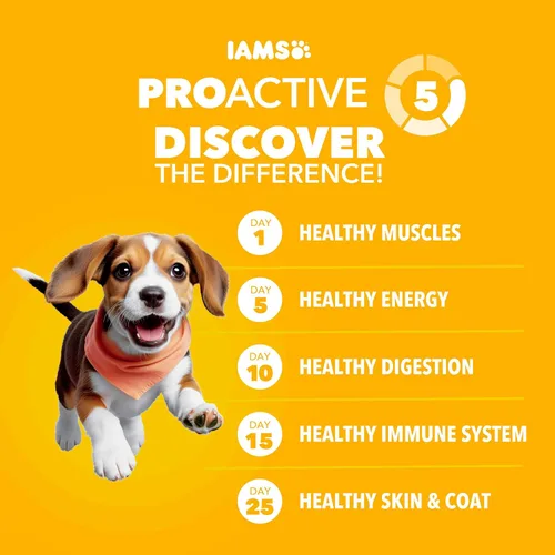 Miniatura 2 de IAMS Proactive Health - Alimento prémium para cachorros de raza grande, para perros grandes, bolsa de 15 libras