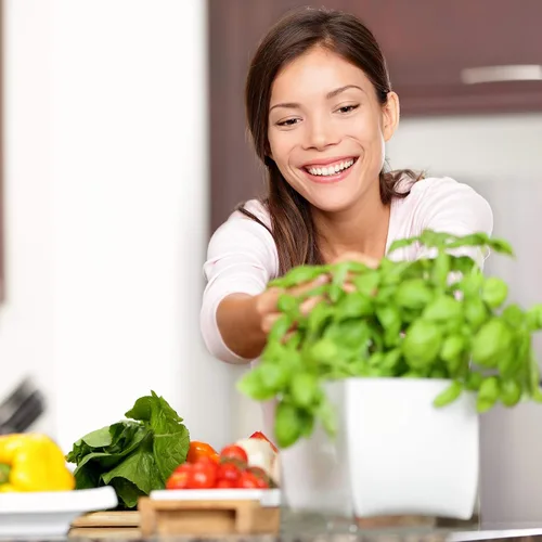 Miniatura 6 de Kits de inicio de semillas para jardín de interiores - cultivo de hierbas culinarias, medicinales y de té - comienza con el cultivo al aire libre