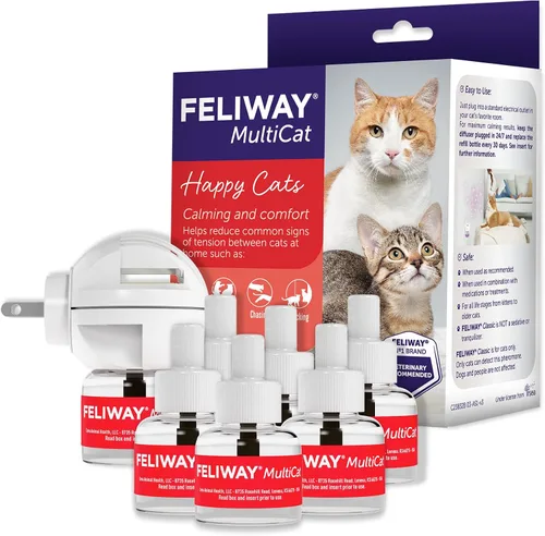 FELIWAY MultiCat - Kit de difusor calmante para gatos y 6 paquetes de recambio, ayuda a reducir la lucha, la tensión y la agresión entre gatos