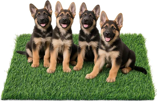 Miniatura 12 de Almohadilla de césped artificial para perros Orinal: 33.2 x 20.8 pulgadas de hierba falsa para perros cachorros entrenamiento para orinar y hacer