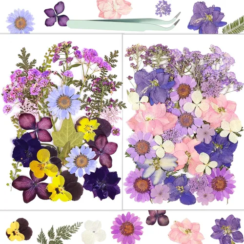 Miniatura 21 de Flores Secas, Resiners 58 Piezas Flores Prensadas para Manualidades Rosa Flores Secas Naturales Reales Kit de Hojas Secas para DIY Hacer