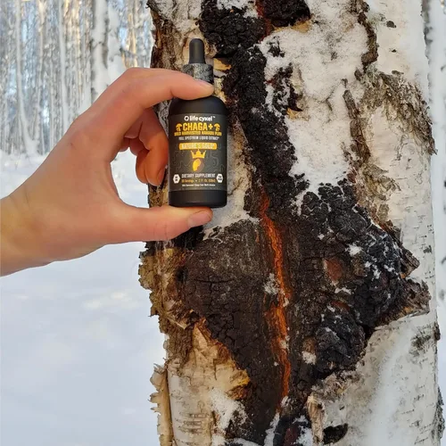 Miniatura 3 de Life Cykel - Extracto de hongo Chaga con ciruela Kakadu - Tintura de hongo de doble extracción - Suplemento de apoyo inmunológico sin OMG