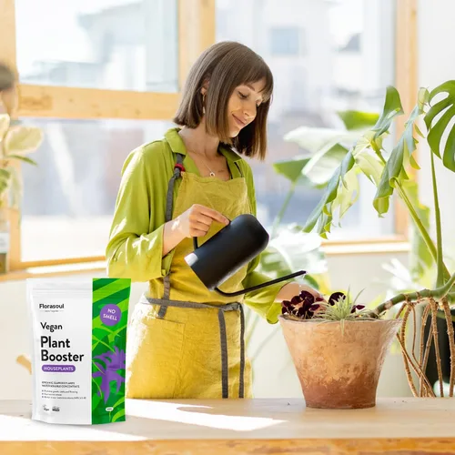 Miniatura 8 de Florasoul® Alimento para plantas de interior inodoro (1.1 libras por 130 galones), fertilizante orgánico de algas marinas para plantas