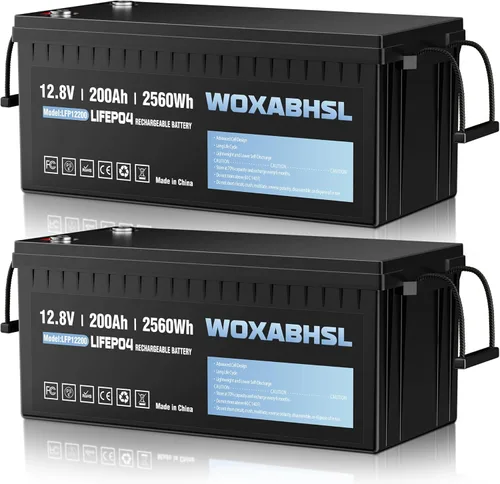 Miniatura 14 de Variaciones de la batería de litio de 12V LiFePO4 251208 (12V200* 1PCS)