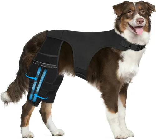 Miniatura 8 de Rodillera para perro para pierna trasera desgarrada, 4 estabilizadores, soporte de cadera ajustable para reducir el dolor, lesiones de ligamentos