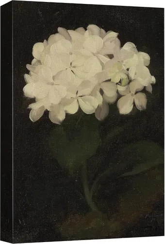 Miniatura 107 de SIGNFORD Lienzo impreso para pared, acuarela, floral, retro, abstracto, naturaleza, desierto, ilustraciones florales botánicas, arte moderno