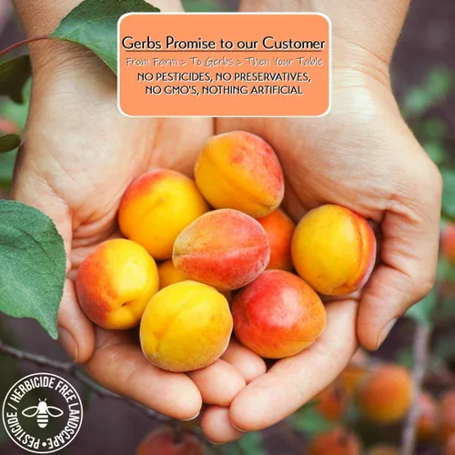 Miniatura 2 de Frutas secas GERBS, Top 14 libres de alergia alimentaria, sin sulfuro, sin conservantes, sin OMG, vegano