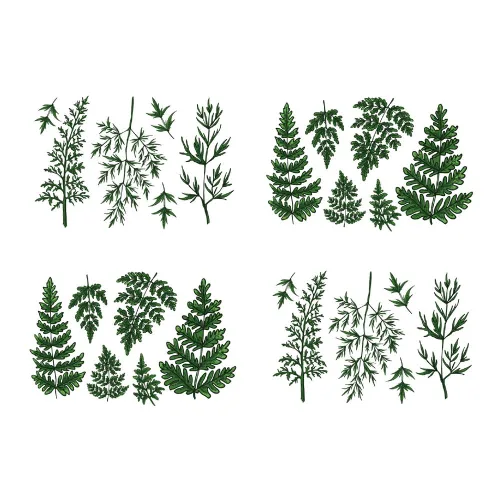 Pegatina temporal de tatuaje de helecho verde, impermeable, hojas de plantas, girasoles, adultos, hombres y mujeres, vintage, 5.9 x 4.3 in, juego de