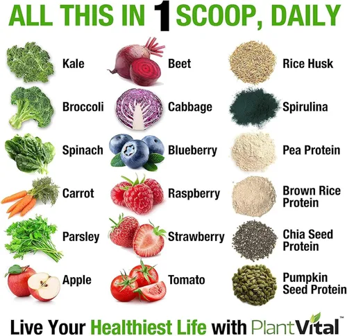Miniatura 2 de Plantvital Proteína vegana orgánica sin sabor en polvo, 15 superalimentos, verduras y probióticos, proteína orgánica a base de plantas, todos