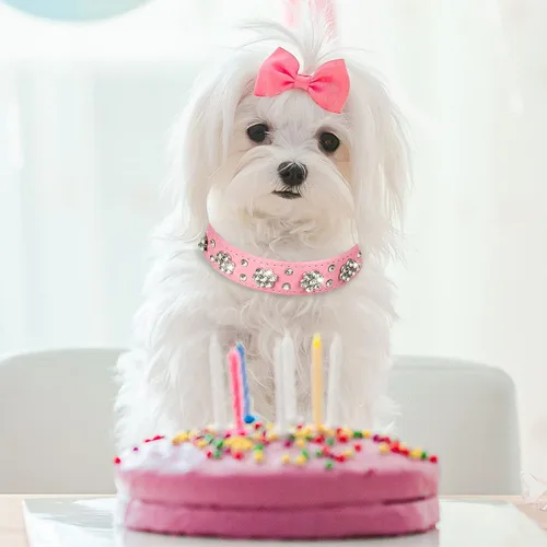 Miniatura 7 de 2 Piezas Collares de Cuero PU para Perro Rosa con Pedrería Collar para Mascotas con Patrón de Flores Collar para Perro con Tachuelas Ajustable