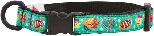 Miniatura 42 de RC Pets Kitty Breakaway - Collar para gatos, Cat-titude