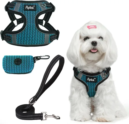PUPTECK Juego de arnés y correa para perro de tamaño pequeño, arnés tipo paso a paso sin tirones, ajustable para cachorros y gatos, chaleco