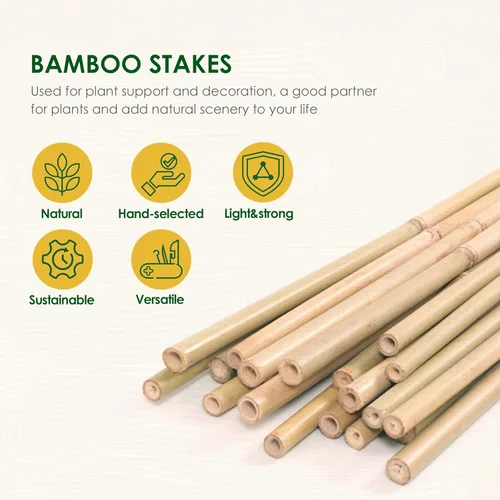 Miniatura 2 de Cambaverd Varillas de bambú para plantas, estacas de bambú de 2 pies para jardinería interior, estacas para plantas en maceta, mini árboles, estacas
