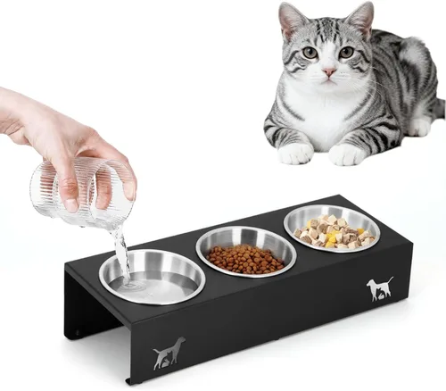 Cuencos elevados para gatos con base antideslizante, platos elevados para gatos con soporte integrado inclinado a 15° antivómito, incluye 3 cuencos