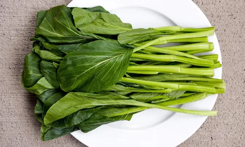 Miniatura 4 de Yu Choy Sum Seeds, vegetal verde asiático sin OMG, más de 4000 semillas, crecimiento rápido por Mai's Family