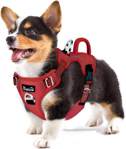 Miniatura 31 de SlowTon Arnés para perro sin tirones, arnés resistente sin estrangulamiento para mascotas, con 2 clips para la correa y mango vertical de fácil
