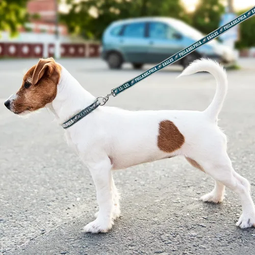 Miniatura 5 de Collar NFL PET Philadelphia Eagles para Perros, Collar de Equipo de Fútbol de Tamaño Extra Grande para Perros y Gatos. Un Collar para Gatos y Perros