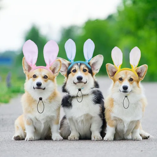 Miniatura 6 de Whaline Paquete de 3 diademas de conejo de Pascua para perro, conejo, orejas de caramelo, banda ajustable para el pelo para mascotas, accesorios