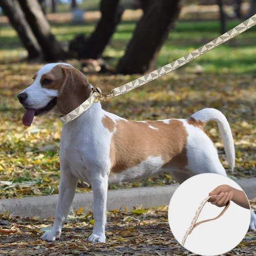 Miniatura 2 de Collar de cuero para perro y correa de 4 pies, collar básico ajustable con patrón de campana a cuadros, collar y correa de cuero duradero