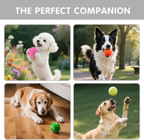 Miniatura 5 de PHOEPET - Juego de 6 pelotas de tenis para entrenamiento principiante, pelotas a granel para perros para juegos de buscar y morder (colores surtidos)
