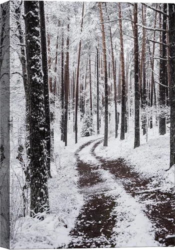 Miniatura 6 de SIGNWIN Lienzo impreso para pared, diseño de bosque y guardería, cabaña de troncos, invierno, nieve, montaña, bosque, ilustraciones de naturaleza