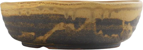 Miniatura 2 de Wazakura Serie Shigaraki Maceta de Bonsái de Cerámica Esmaltada con Rayas de Polvo Amarillo Hecha en Japón, Contenedor de Entrenamiento para Jardín