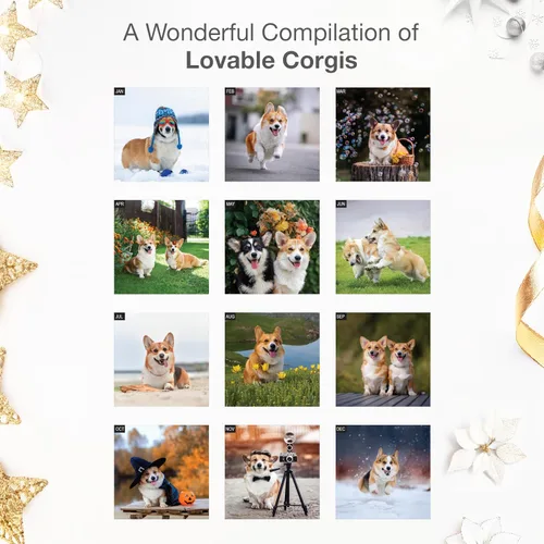 Miniatura 3 de RED EMBER Select - Calendario de pared Corgis 2026 de 12 meses 12 x 24 pulgadas abierto Papel grueso y resistente Regalo Calendario 2026