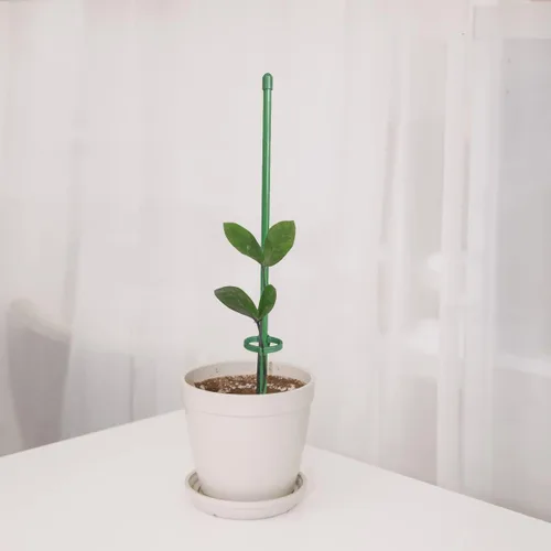 Miniatura 2 de Estacas de soporte para plantas de 12 pulgadas, con anillo de retención ajustable, estacas de soporte para plantas de interior y exterior, flores