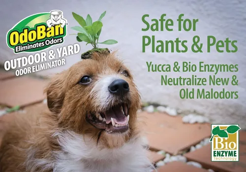Miniatura 6 de OdoBan Eliminador de olores para exteriores y patios, fórmula respetuosa con las plantas, fabricado en los Estados Unidos, aroma fresco y limpio